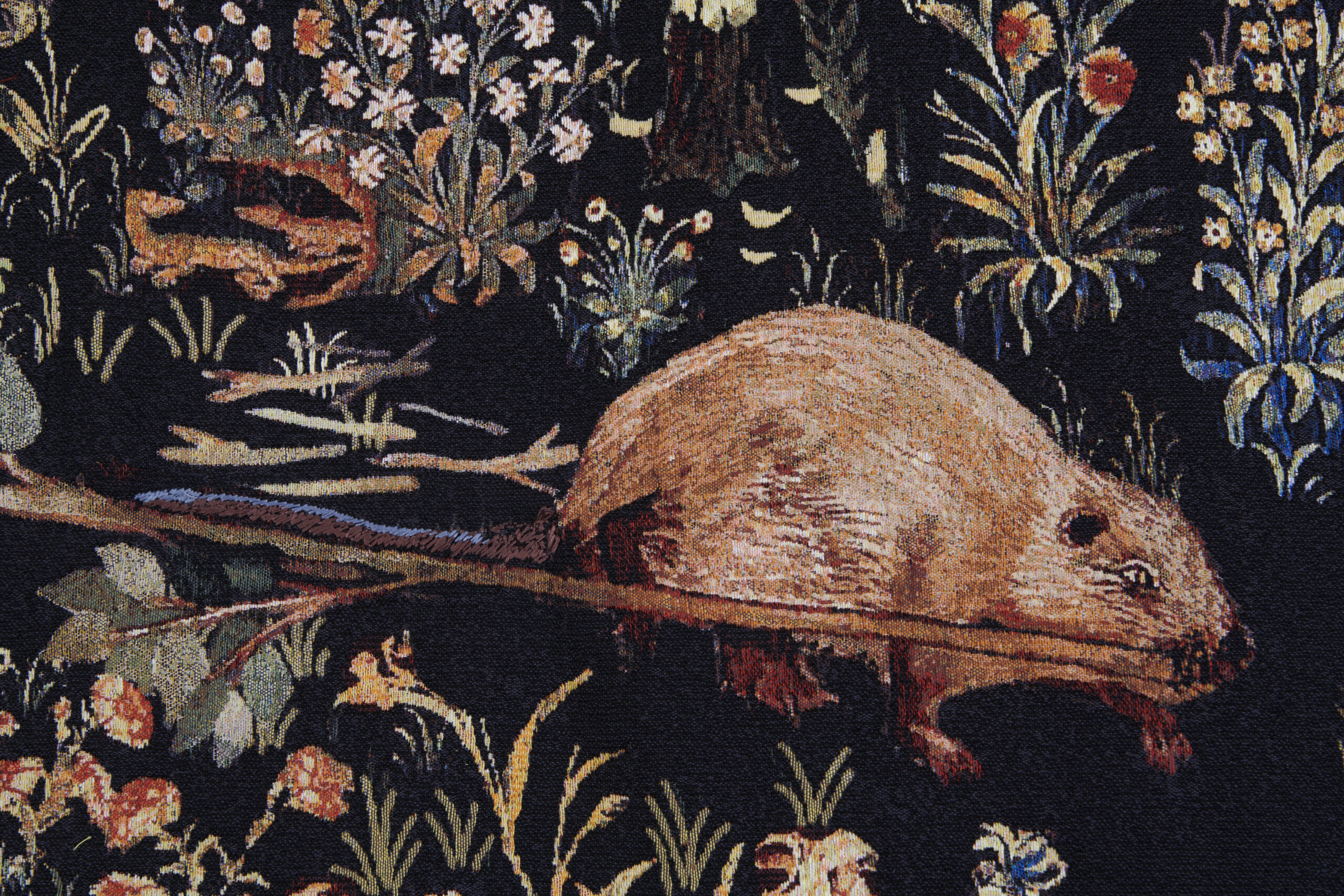 L&rsquo;exposition « Histoire des alliances avec le peuple castor » de Suzanne Husky, Château de Châteaudun, 2024
