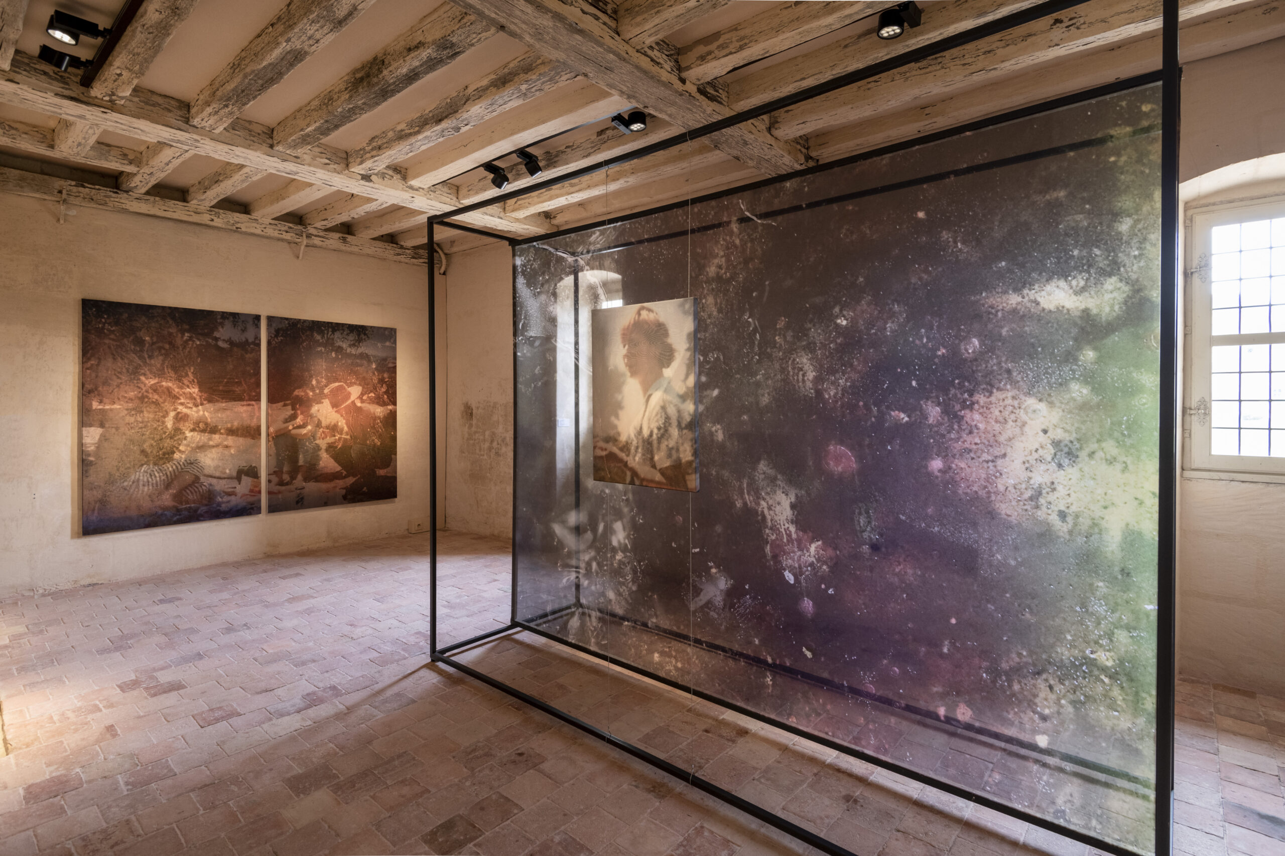 « Alluvion » – Abbaye royale de Fontevraud, 2025